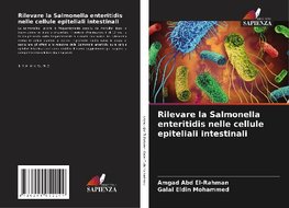 Rilevare la Salmonella enteritidis nelle cellule epiteliali intestinali