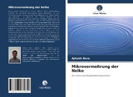 Mikrovermehrung der Nelke