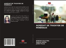 AGRÉGAT DE TRIOXYDE DE MINÉRAUX