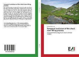 Temporal evolution of the check dam filling process