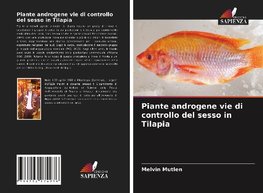 Piante androgene vie di controllo del sesso in Tilapia