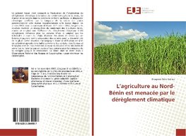 L'agriculture au Nord-Bénin est menacée par le dérèglement climatique