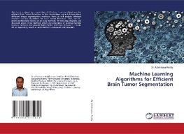 Machine Learning Algorithms for Efficient Brain Tumor Segmentation