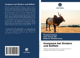 Humpsore bei Rindern und Büffeln