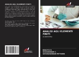 ANALISI AGLI ELEMENTI FINITI