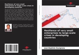 Resilience of very small enterprises to large-scale crises in developing countries