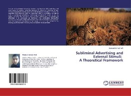 Subliminal Advertising and External Stimuli: A Theoretical Framework