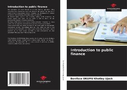 Introduction to public finance