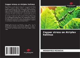 Copper stress on Atriplex halimus