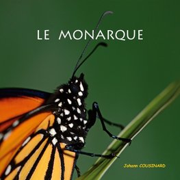 Le monarque