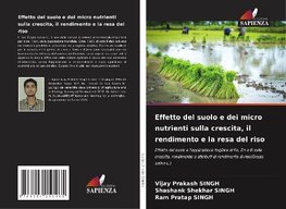 Effetto del suolo e dei micro nutrienti sulla crescita, il rendimento e la resa del riso