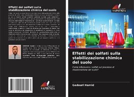 Effetti dei solfati sulla stabilizzazione chimica del suolo