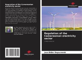 Regulation of the Cameroonian electricity sector