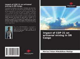 Impact of COP 21 on artisanal mining in DR Congo