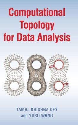 Computational Topology for Data Analysis