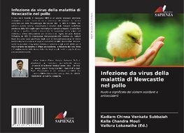 Infezione da virus della malattia di Newcastle nel pollo