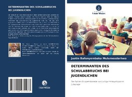 DETERMINANTEN DES SCHULABBRUCHS BEI JUGENDLICHEN