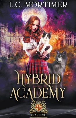 Hybrid Academy