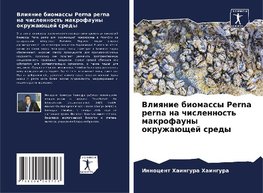 Vliqnie biomassy Perna perna na chislennost' makrofauny okruzhaüschej sredy