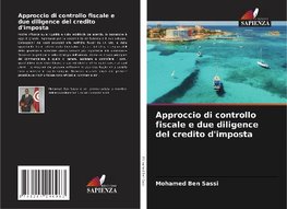 Approccio di controllo fiscale e due diligence del credito d'imposta