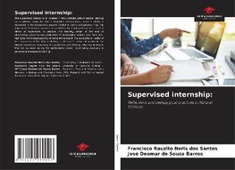 Supervised internship: