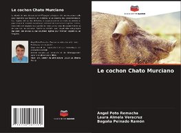 Le cochon Chato Murciano