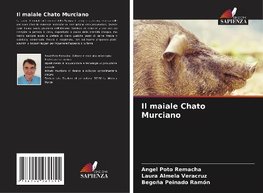 Il maiale Chato Murciano