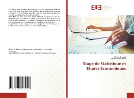 Stage de Statistique et Etudes Economiques