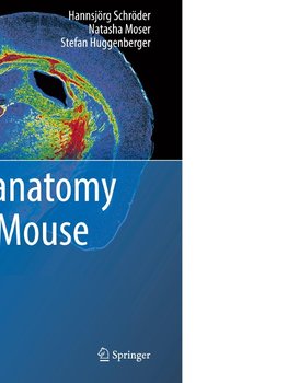 Neuroanatomy of the Mouse