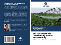 Energiebedarf und -verwendung bei der Bewässerung