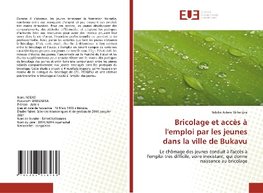 Bricolage et accès à l'emploi par les jeunes dans la ville de Bukavu