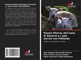 Pecora Merino dell'isola di Socorro e i suoi incroci con Pelibuey