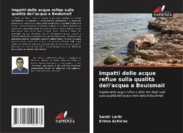 Impatti delle acque reflue sulla qualità dell'acqua a Bouismail