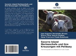 Socorro Island Merinoschafe und ihre Kreuzungen mit Pelibuey