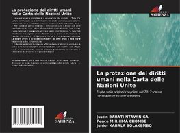 La protezione dei diritti umani nella Carta delle Nazioni Unite