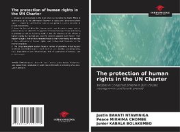 The protection of human rights in the UN Charter