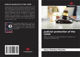 Judicial protection of the child: