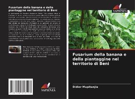 Fusarium della banana e della piantaggine nel territorio di Beni