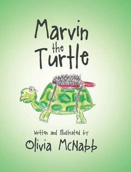 Marvin the Turtle