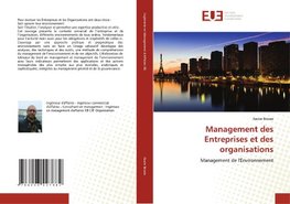 Management des Entreprises et des organisations