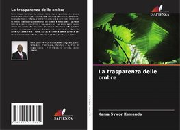 La trasparenza delle ombre