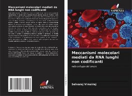 Meccanismi molecolari mediati da RNA lunghi non codificanti