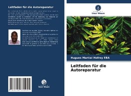 Leitfaden für die Autoreparatur