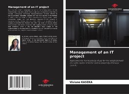 Management of an IT project