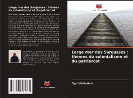 Large mer des Sargasses : thèmes du colonialisme et du patriarcat