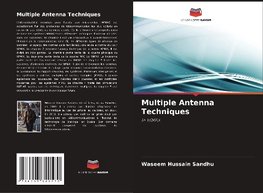 Multiple Antenna Techniques