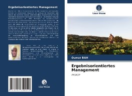 Ergebnisorientiertes Management