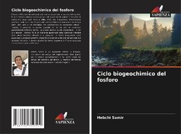 Ciclo biogeochimico del fosforo