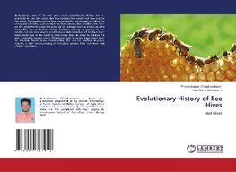 Evolutionary History of Bee Hives