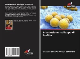 Bioadesione: sviluppo di biofilm